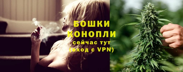 дживик Дмитров