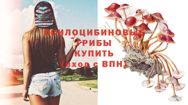 дживик Дмитров
