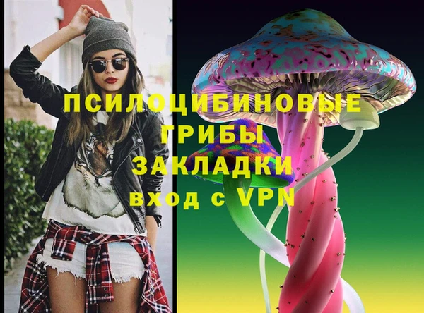 apvp Дмитровск