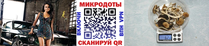Галлюциногенные грибы GOLDEN TEACHER  Купить закладки  Радужный 